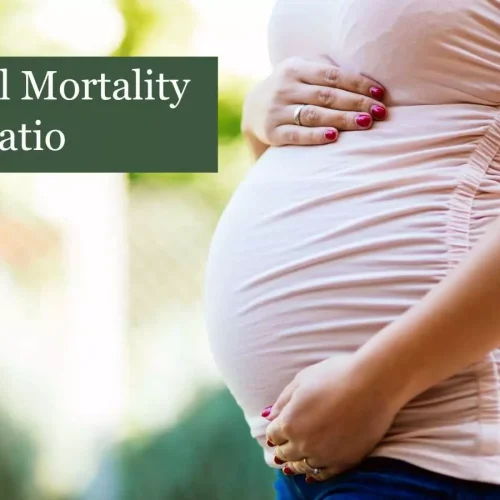 Puducherry achieves historic zero maternal deaths in 2024-25