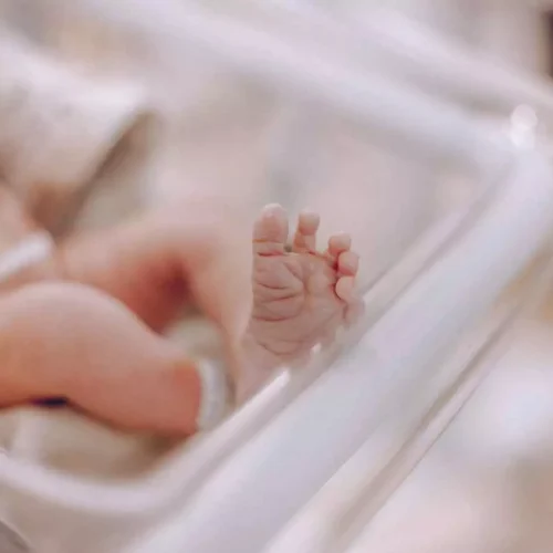 Unmasking Preterm Birth Risks: Role of Cervicovaginal Microbiota and Cervical Shortening, study finds