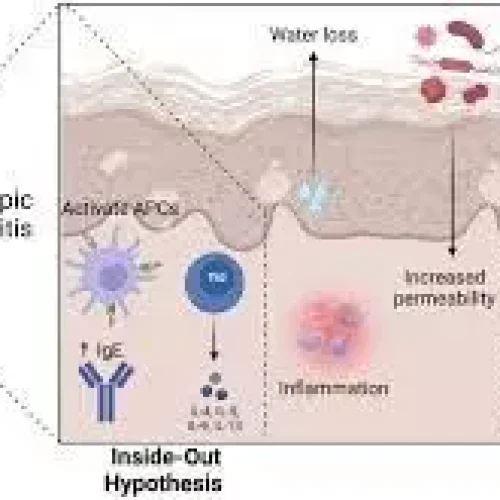 Environmental Pollution and Climate Extremes Linked to Higher Atopic Dermatitis Burden: JAMA