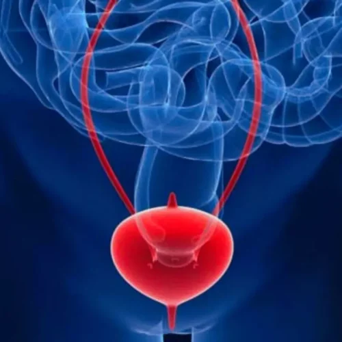 Childhood Gut and Urinary Disorders May Triple Risk of Interstitial Cystitis in Adulthood: Study Finds