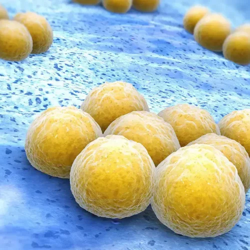 Dalbavancin Shows No Superiority Over Standard Care for Complicated S. aureus Bacteremia: Study