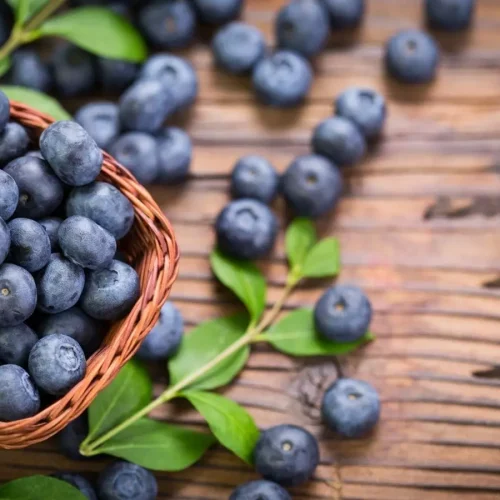 Blueberries can improve infants’ immunity and gut health, groundbreaking study finds