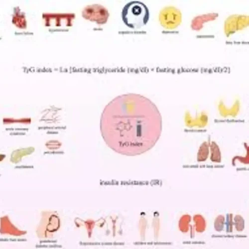 Elevated TyG Index Predicts Hyperuricemia Risk in T2DM: Study