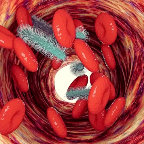 Precision Immunotherapy Improves Organ Dysfunction in Sepsis: Study