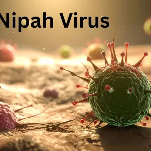 Nipah Virus Alert: Jharkhand issues advisory after Bengal cases