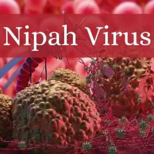 Nipah Virus Remains a Serious Public Health Threat as India Reports New Cases