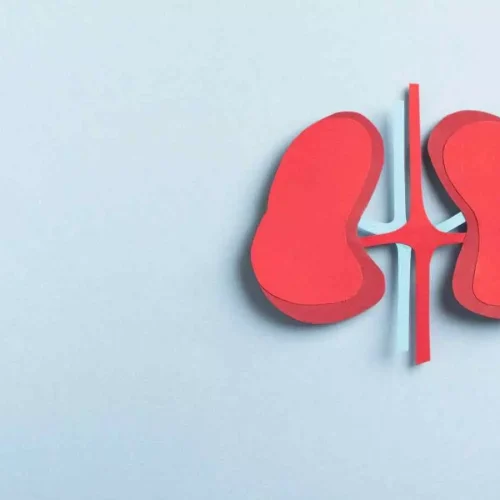 MAJESTY Phase 3 Trial: Obinutuzumab shows positive efficacy and safety outcomes in Primary Membranous Nephropathy