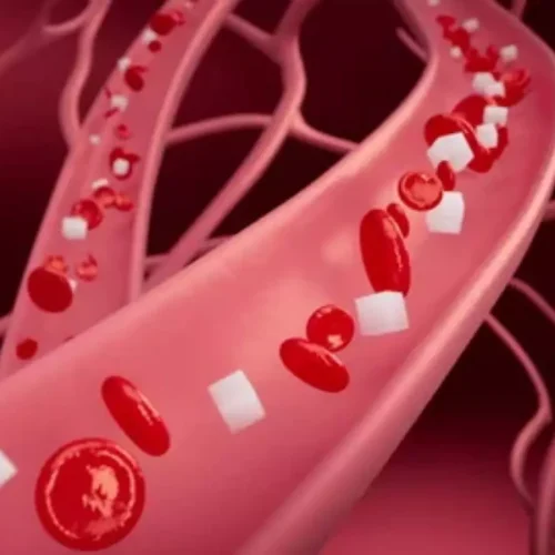 Why do people living at high altitudes have better glucose control? The answer was in plain sight